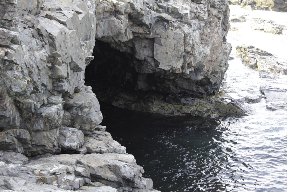 Anemone Cave