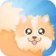 Pom Rush App Icon